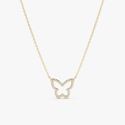 Hook Butterfly